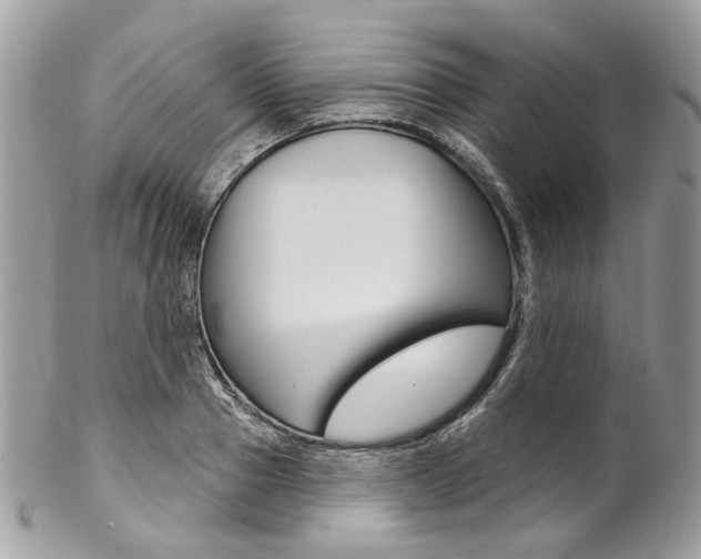 X0000102850937200808181044