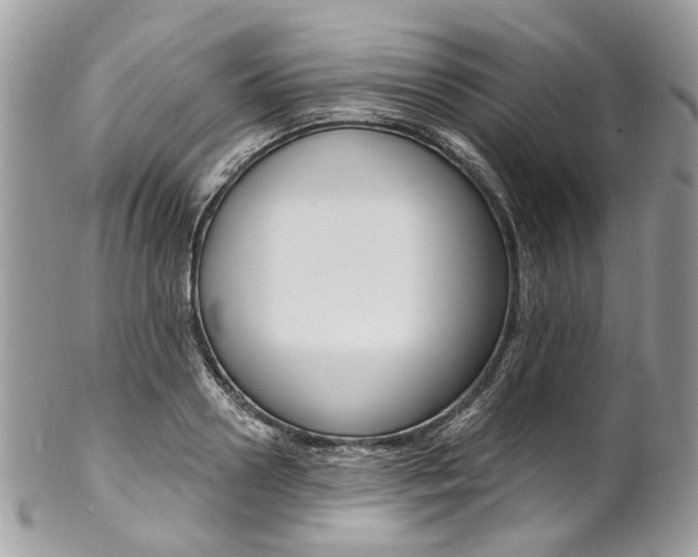 X0000102850938200808181044