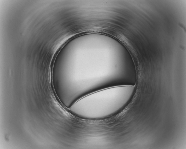 X0000102850940200808181044