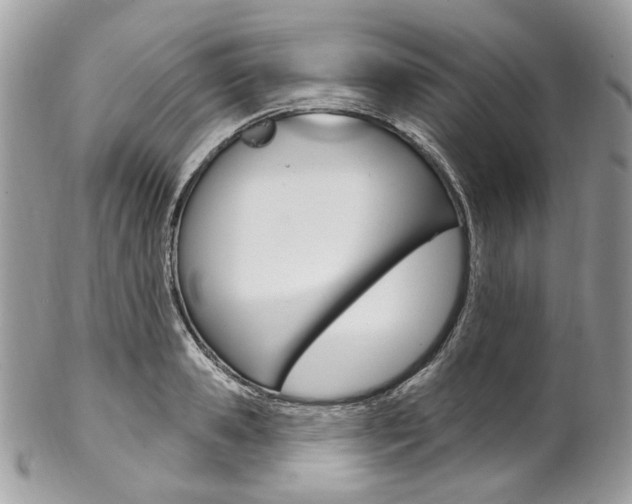 X0000102850941200808181044