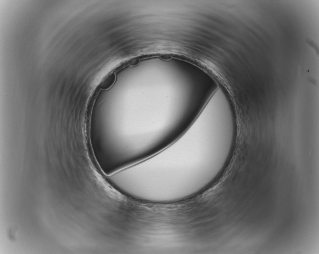 X0000102850942200808181044