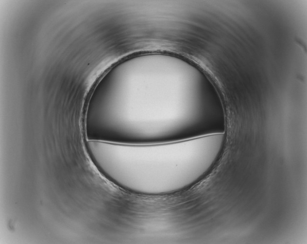 X0000102850943200808181044