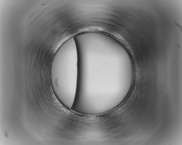 X0000102850945200808181044