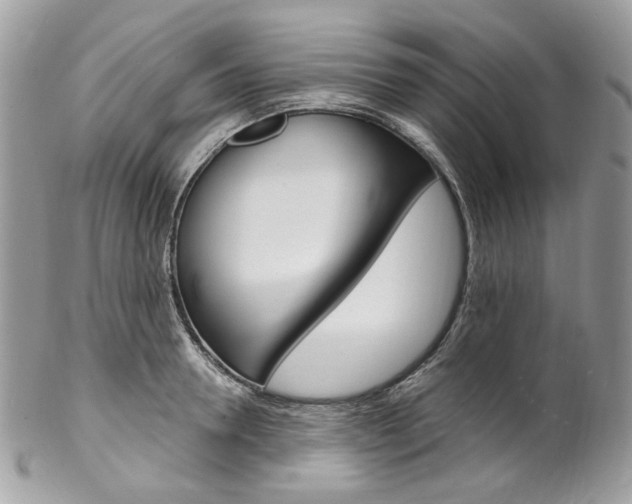 X0000102850946200808181044