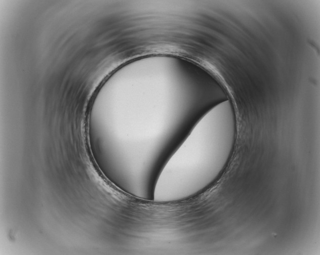 X0000102850947200808181044