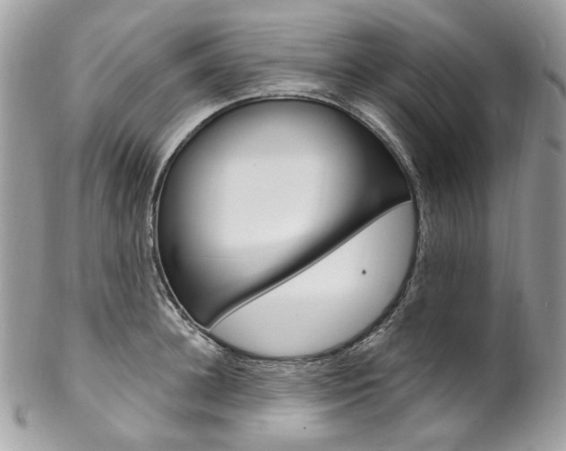 X0000102850948200808181044