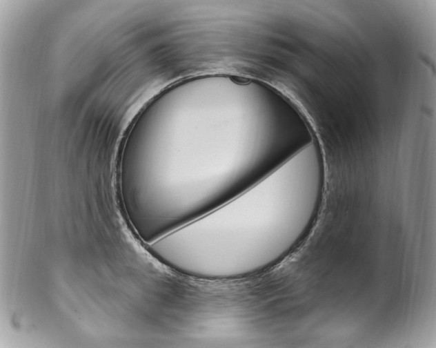 X0000102850949200808181044