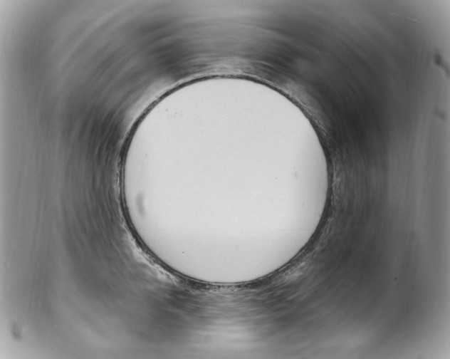 X0000102850950200808181044