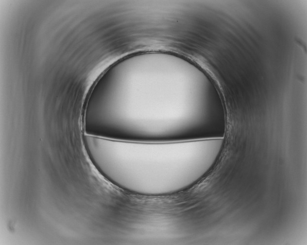 X0000102850951200808181044