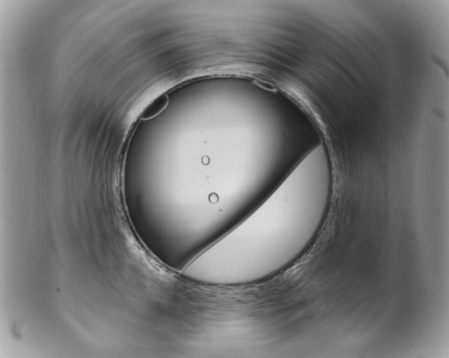 X0000102850952200808181044