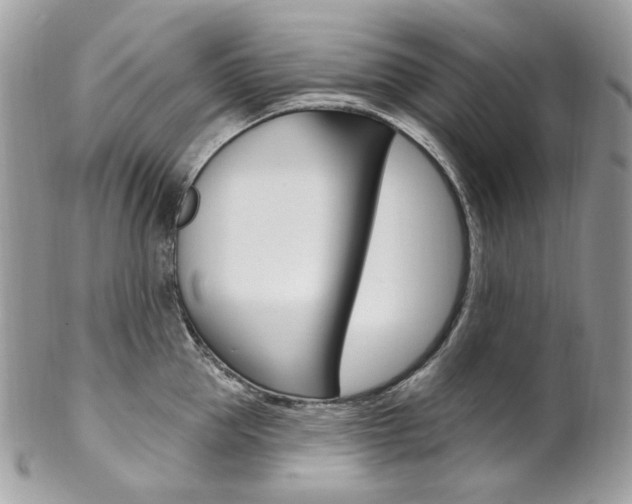 X0000102850953200808181044