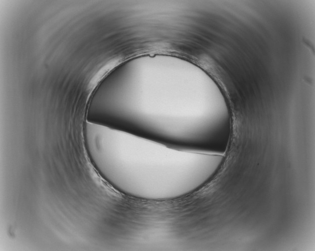 X0000102850954200808181044