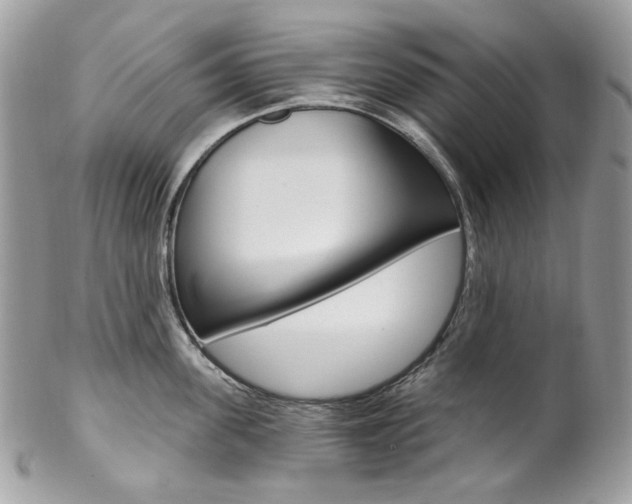 X0000102850955200808181044