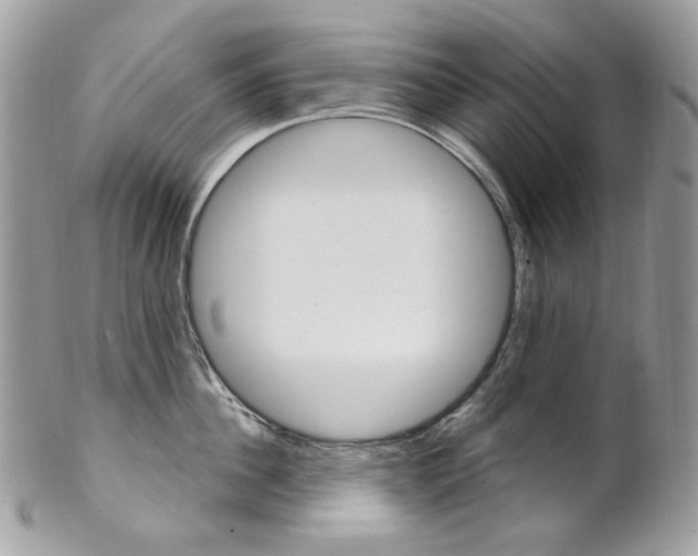 X0000102850956200808181044