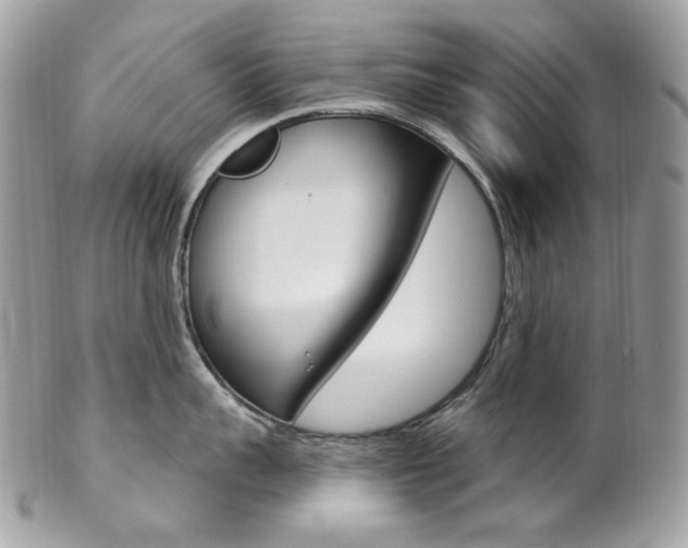 X0000102850959200808181044