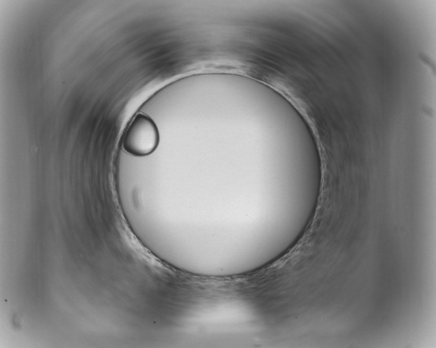 X0000102850960200808181044