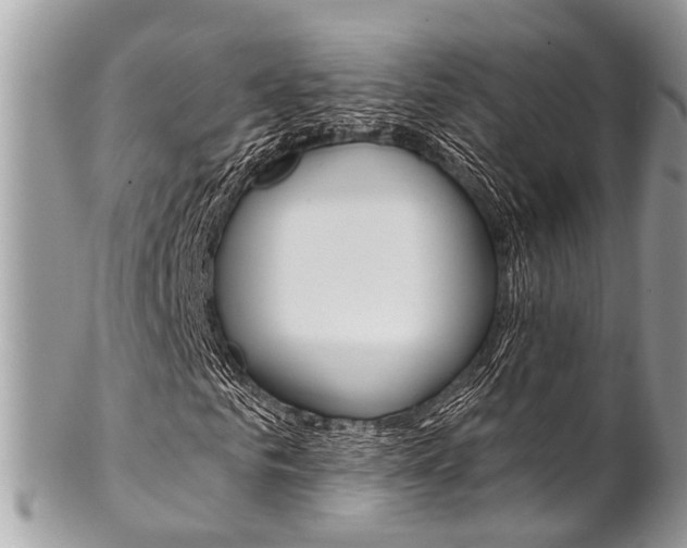 X0000102850961200808181043