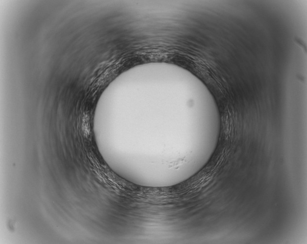 X0000102850962200808181043