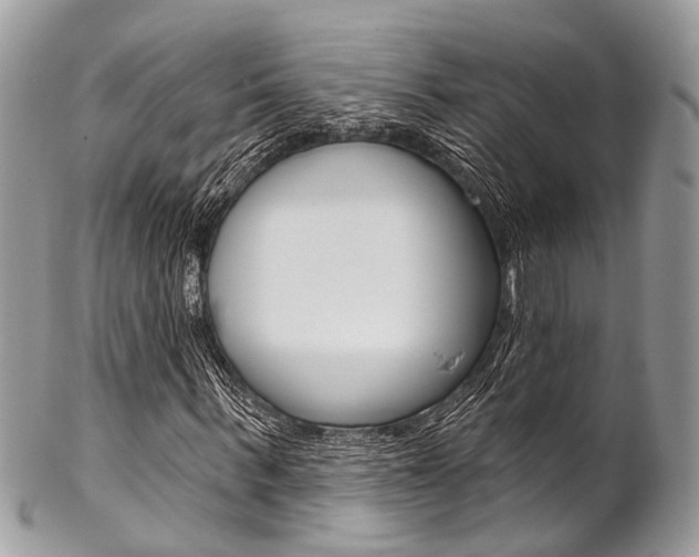 X0000102850963200808181043