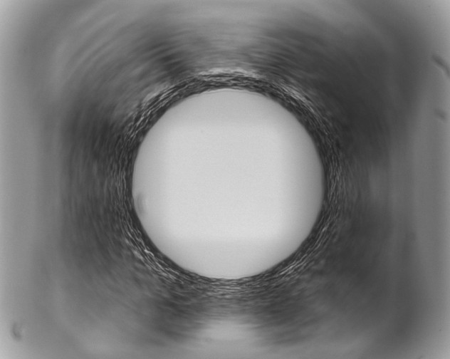 X0000102850965200808181043