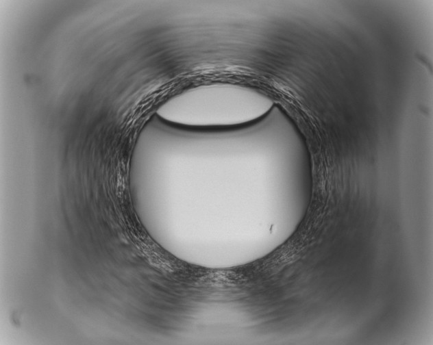 X0000102850966200808181043