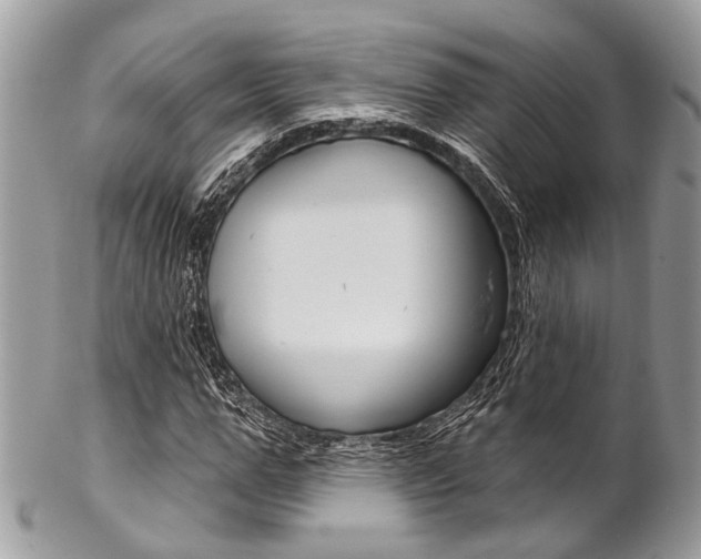 X0000102850967200808181043