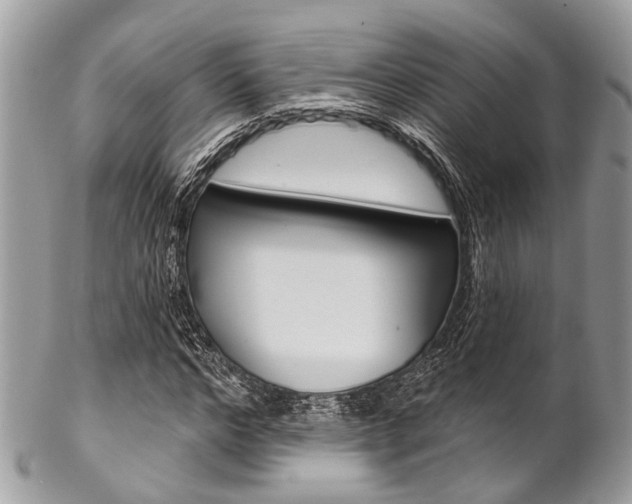 X0000102850968200808181043