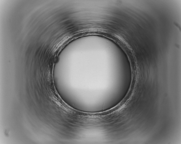 X0000102850969200808181043