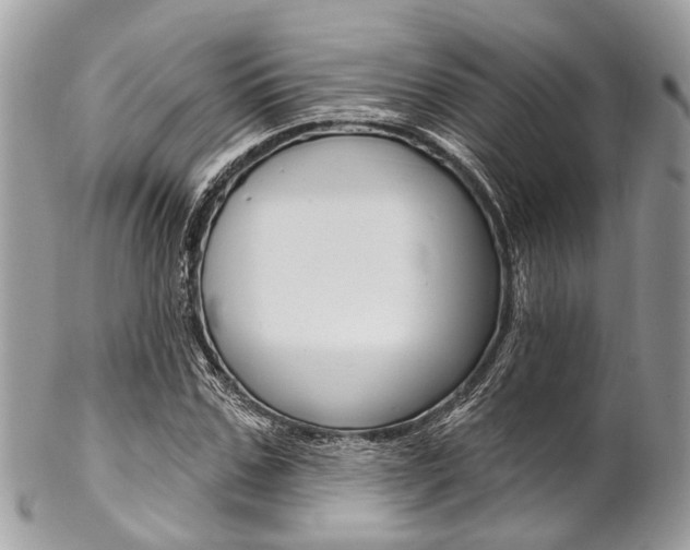 X0000102850971200808181043
