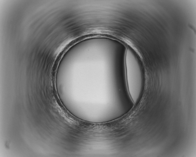 X0000102850972200808181043