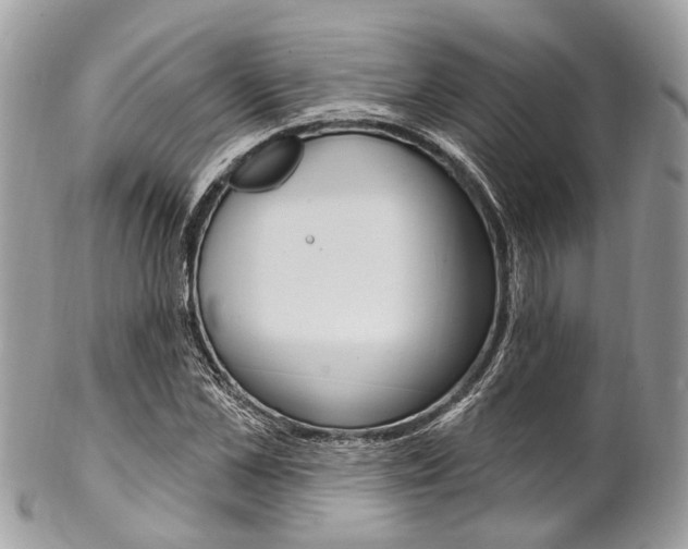 X0000102850973200808181043