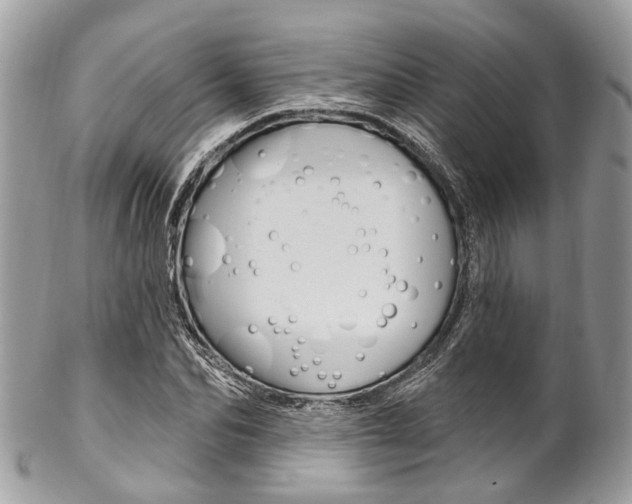 X0000102850974200808181043