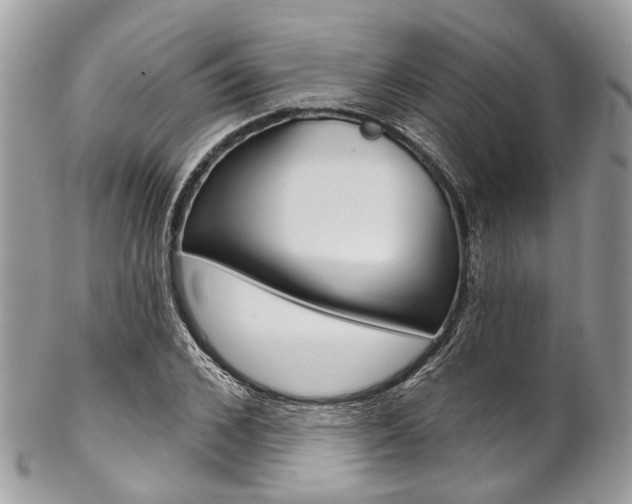 X0000102850976200808181043