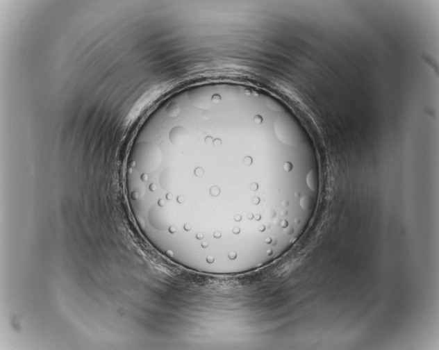 X0000102850978200808181043
