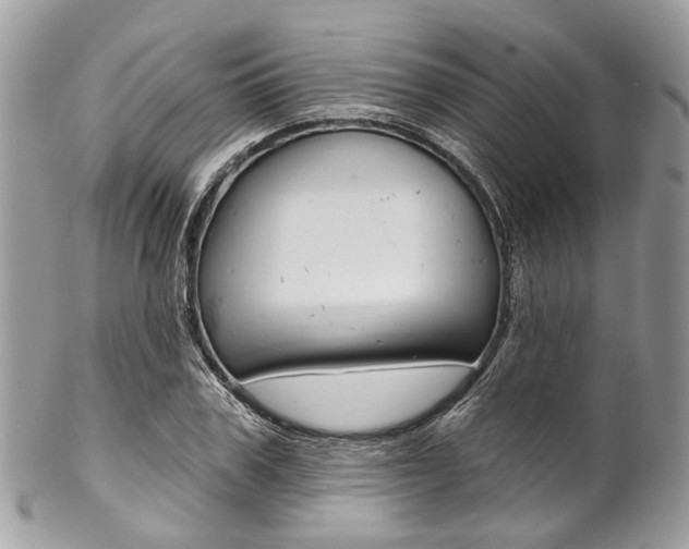 X0000102850979200808181043