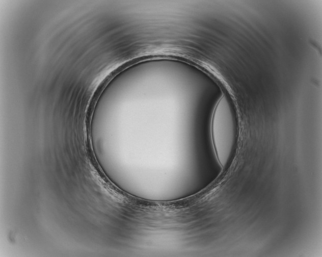 X0000102850980200808181043