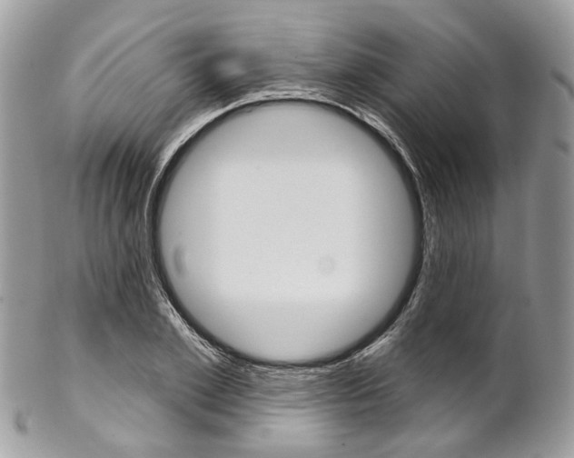 X0000102850981200808181043