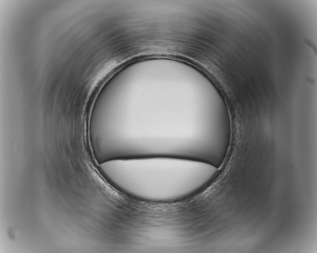 X0000102850982200808181043