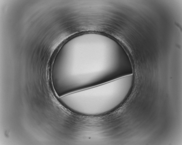 X0000102850983200808181043