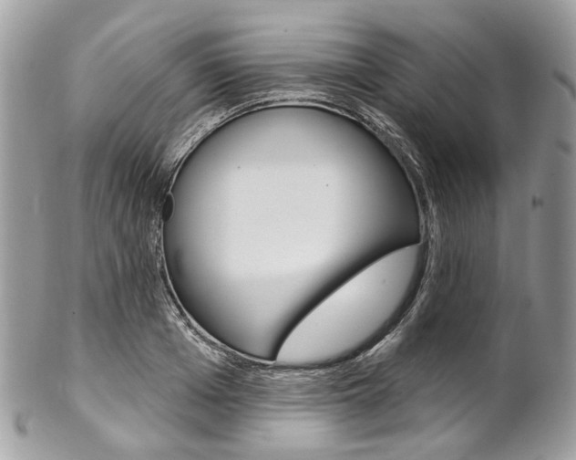 X0000102850985200808181043