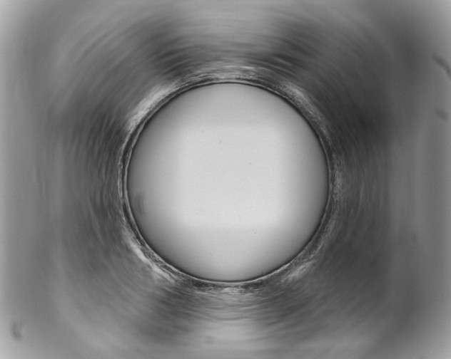 X0000102850986200808181043