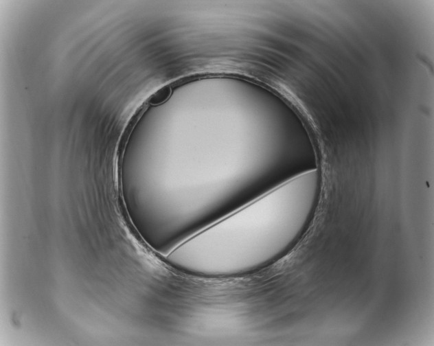 X0000102850988200808181043