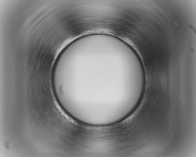 X0000102850989200808181043