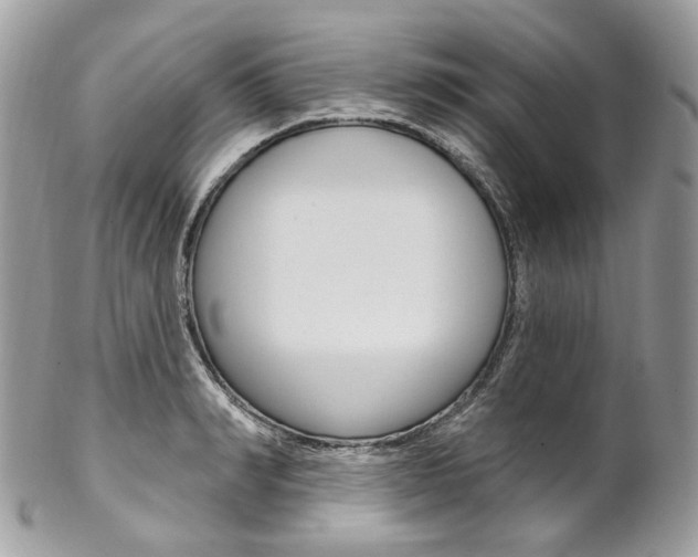 X0000102850990200808181043