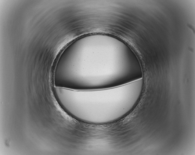 X0000102850991200808181043