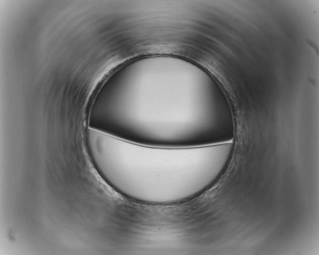 X0000102850992200808181043