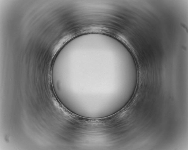 X0000102850994200808181043