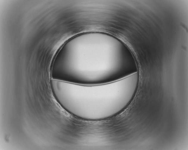X0000102850996200808181043