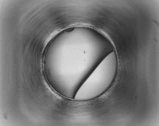 X0000102850997200808181043