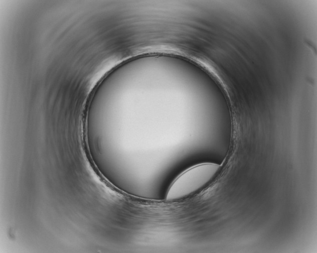 X0000102850999200808181043
